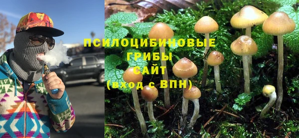 герыч Вяземский