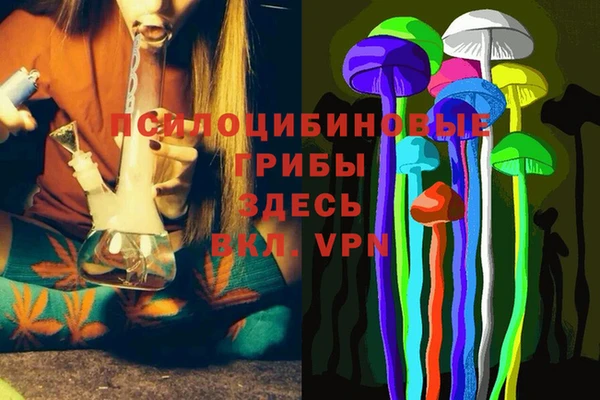 ешки Вязники